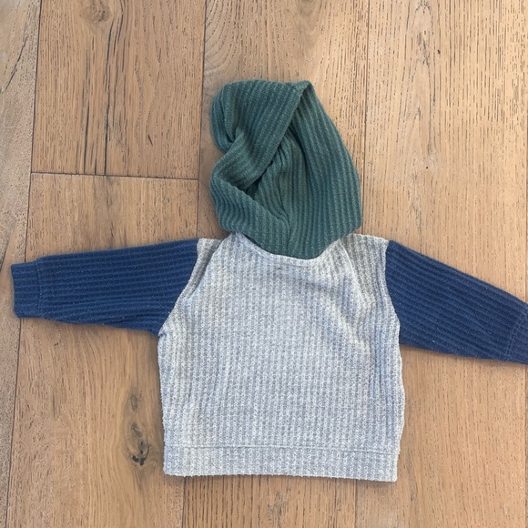 Disney 101 Dalmatians sweatshirt hoodie 9 months Blue Gray Green Dog - Picture 8 of 8